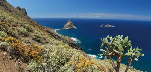 Photos du Voyage VENET : Randonnées à Tenerife (canaries), une ile fascinante ( Du 12 au 19 Octobre )